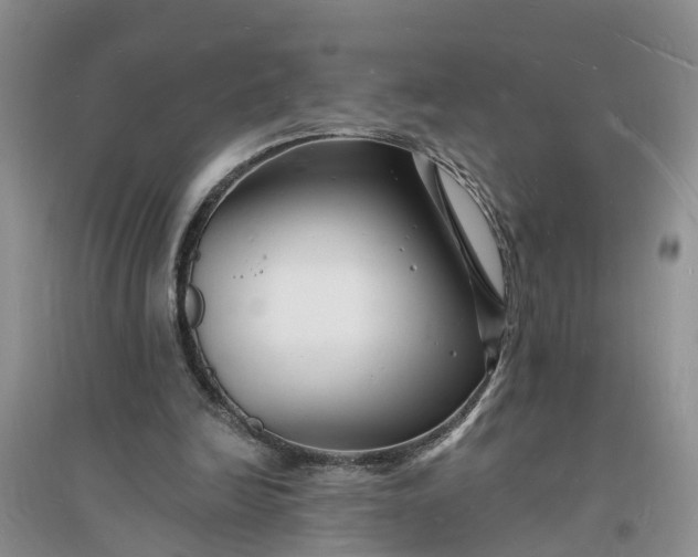X0000096390246200802071544