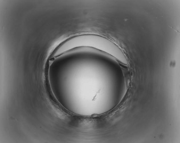 X0000096390248200802071544
