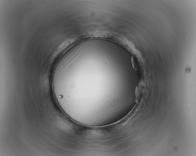 X0000096390250200802071544