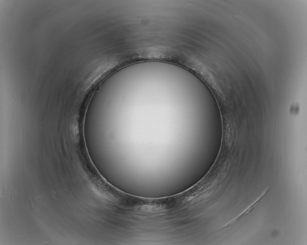X0000096390251200802071544