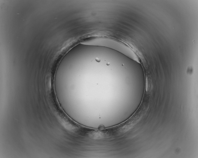 X0000096390253200802071544
