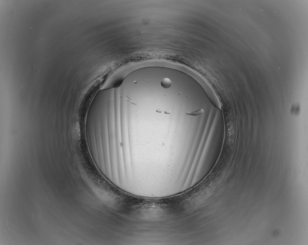 X0000096390254200802071544
