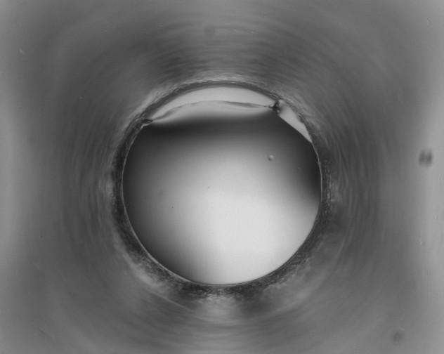X0000096390256200802071544