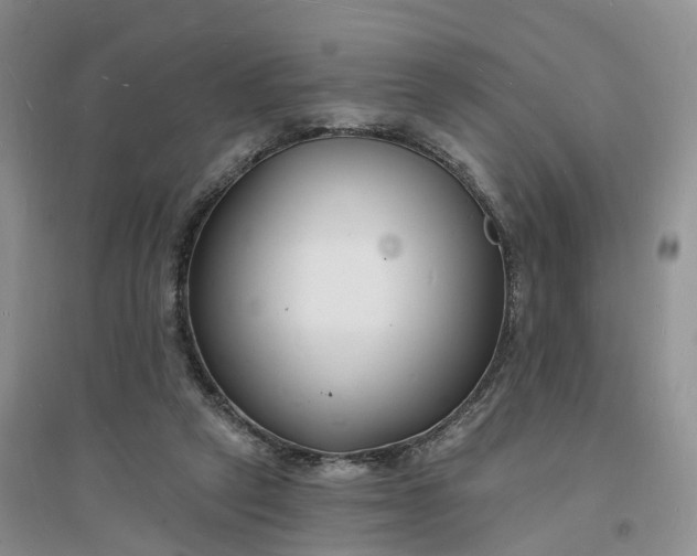 X0000096390257200802071544