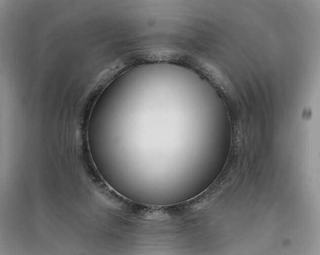 X0000096390258200802071544