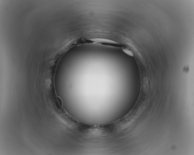 X0000096390259200802071544