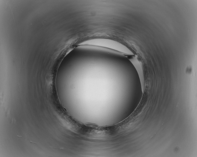 X0000096390260200802071544