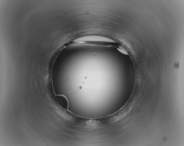 X0000096390261200802071544
