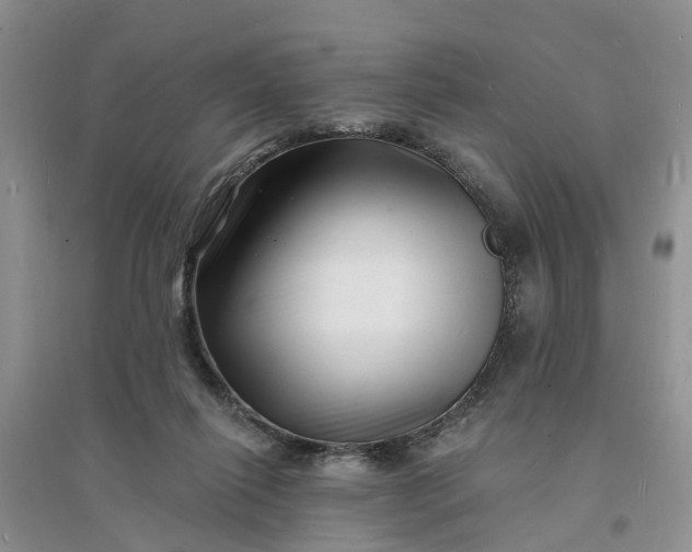X0000096390262200802071544