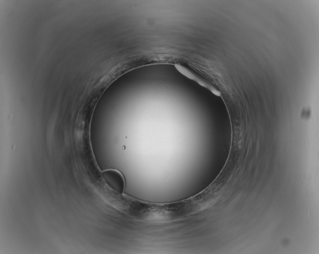 X0000096390263200802071544