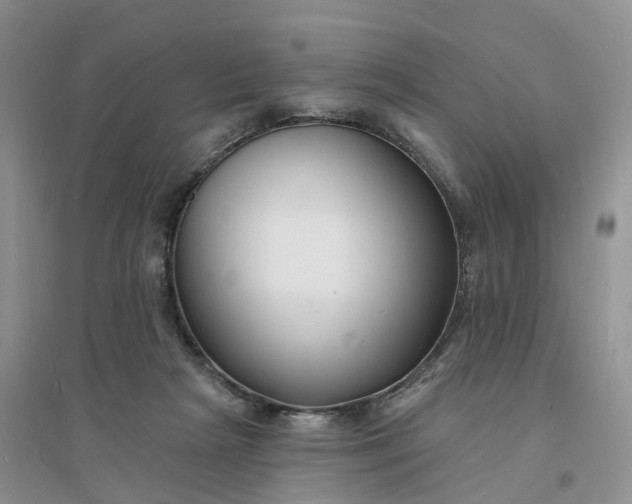 X0000096390265200802071544