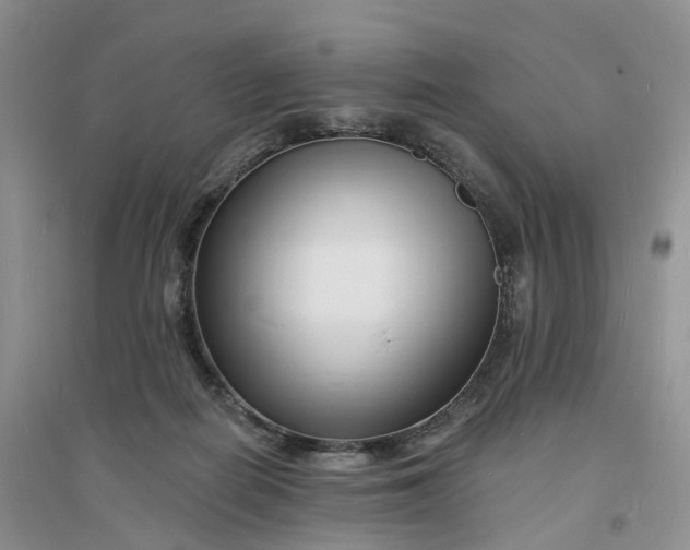 X0000096390266200802071544