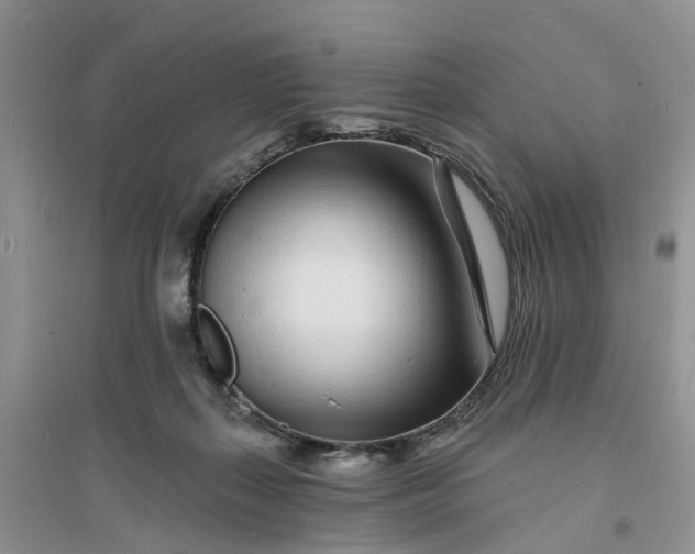 X0000096390267200802071544