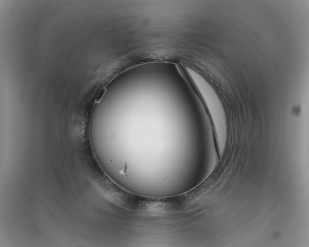 X0000096390268200802071544