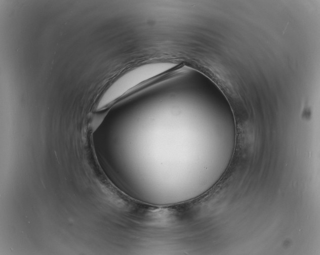 X0000096390269200802071544