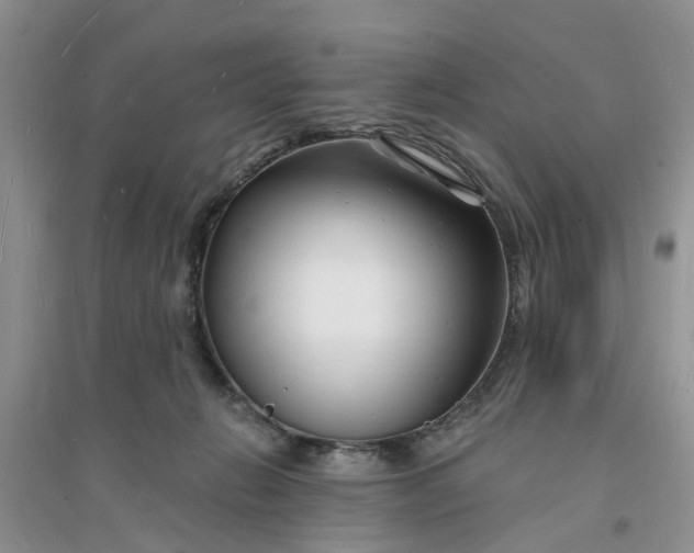 X0000096390270200802071544