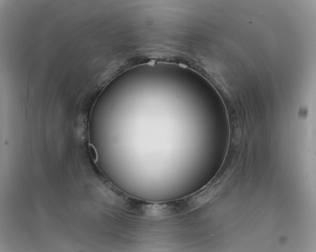 X0000096390273200802071544