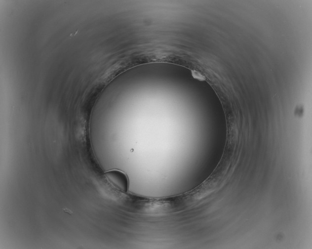 X0000096390274200802071544