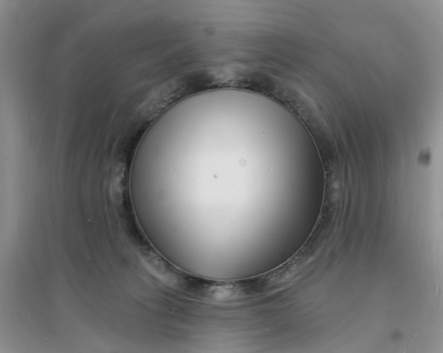 X0000096390275200802071544