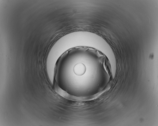 X0000096390276200802071544