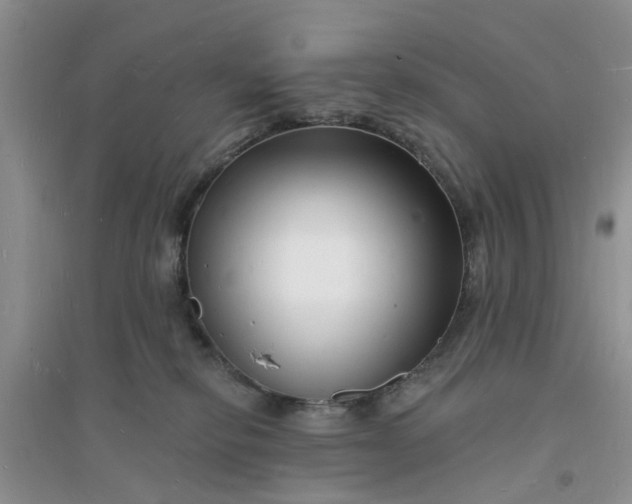 X0000096390278200802071544