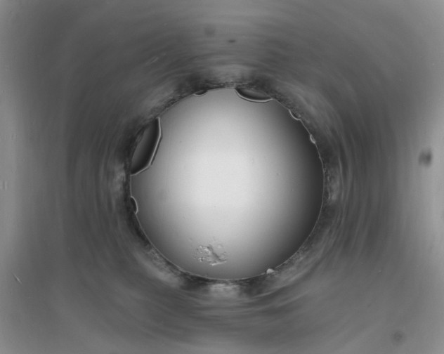 X0000096390279200802071544