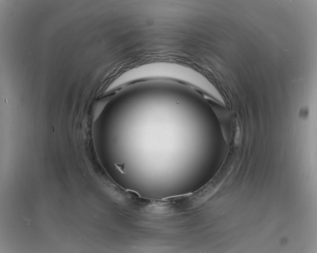 X0000096390280200802071544