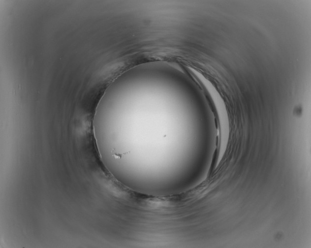 X0000096390284200802071544