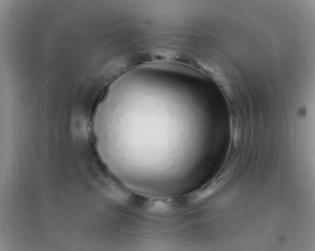 X0000096390285200802071544