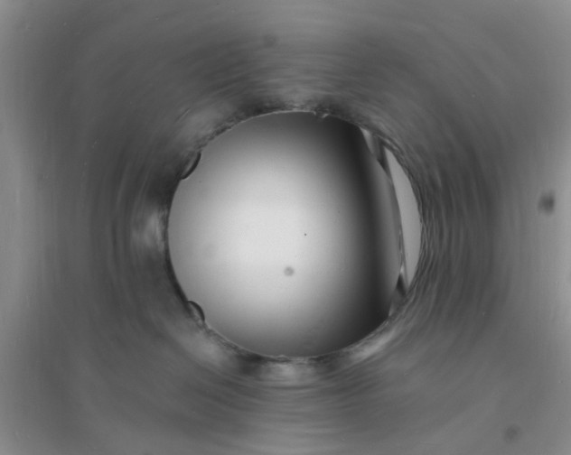 X0000096390286200802071544
