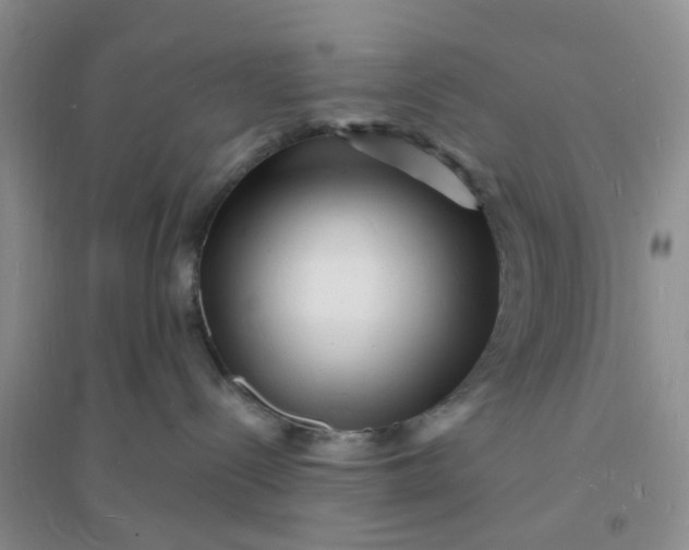 X0000096390288200802071544