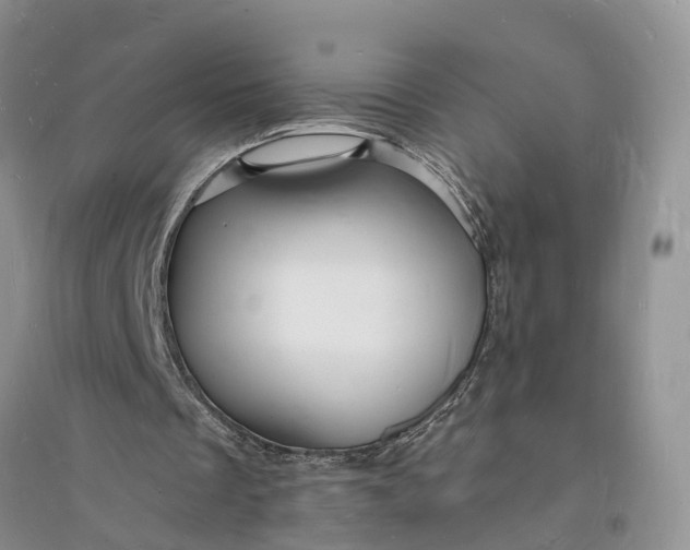 X0000096390289200802071544