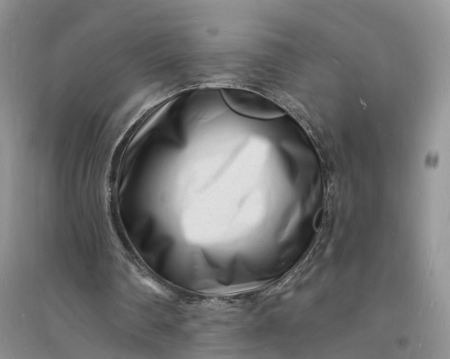 X0000096390290200802071544