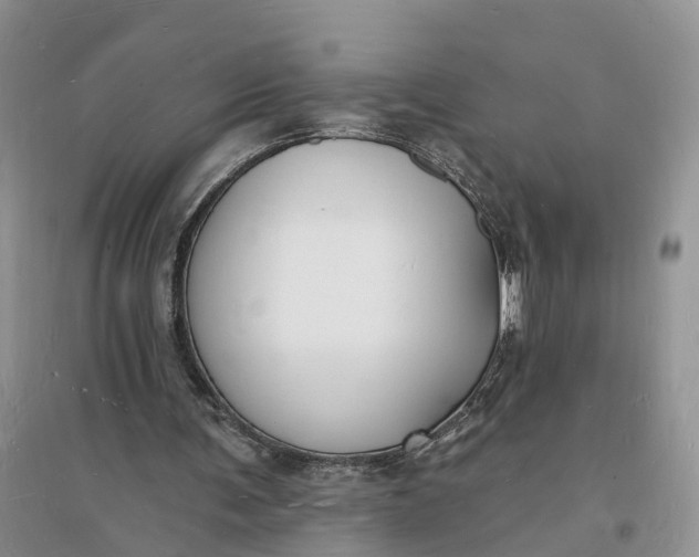 X0000096390291200802071544