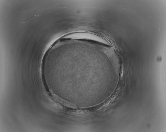 X0000096390292200802071544