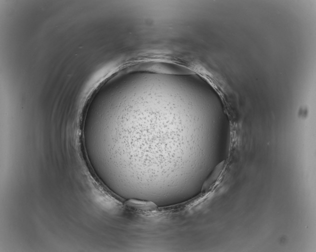 X0000096390293200802071544