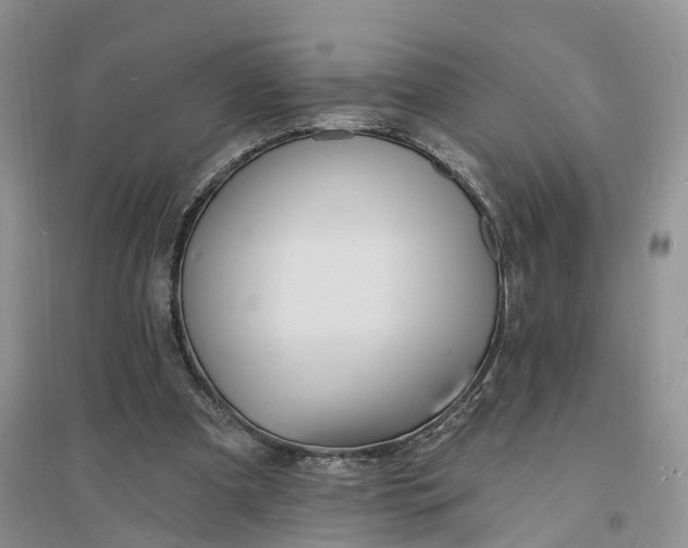 X0000096390297200802071544