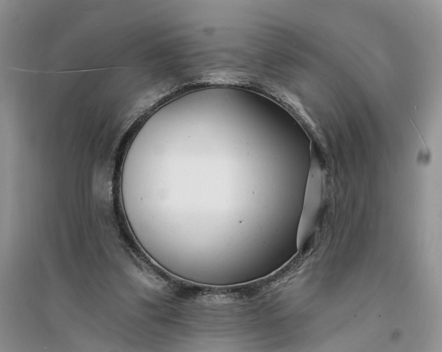 X0000096390299200802071544