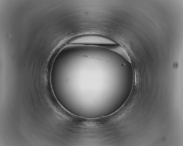 X0000096390300200802071544