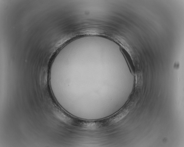 X0000096390301200802071544