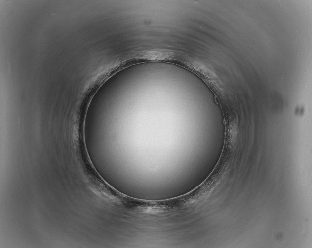 X0000096390303200802071544