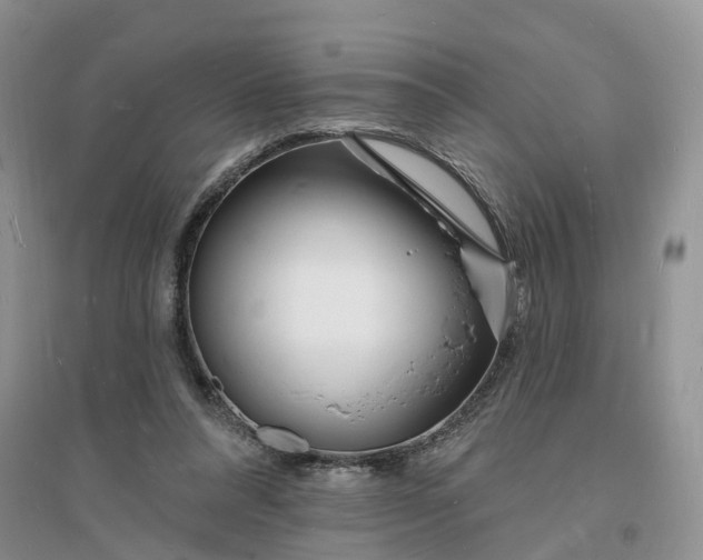 X0000096390304200802071544