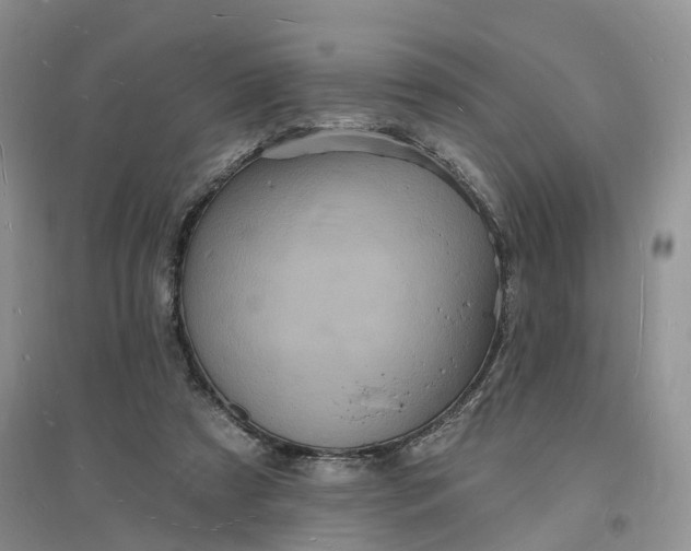 X0000096390305200802071544