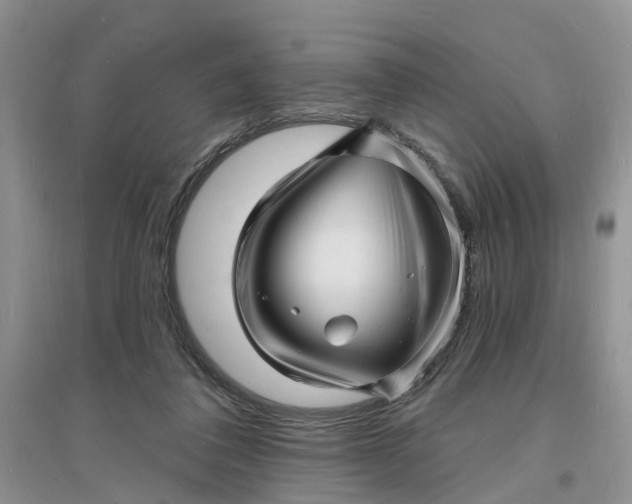 X0000096390308200802071544