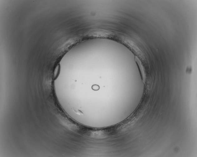 X0000096390309200802071543