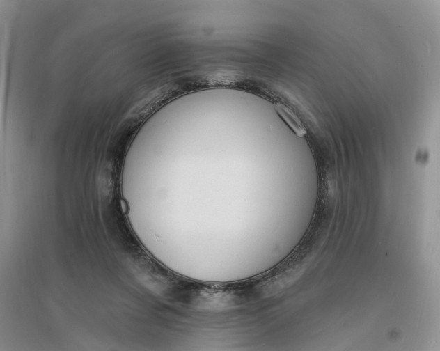 X0000096390311200802071543