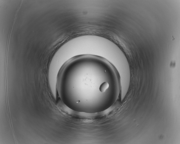 X0000096390313200802071543