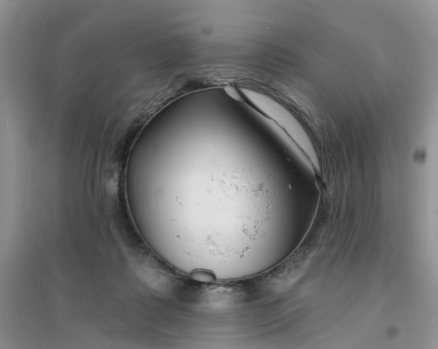 X0000096390315200802071543