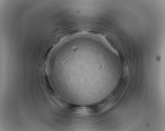 X0000096390316200802071543