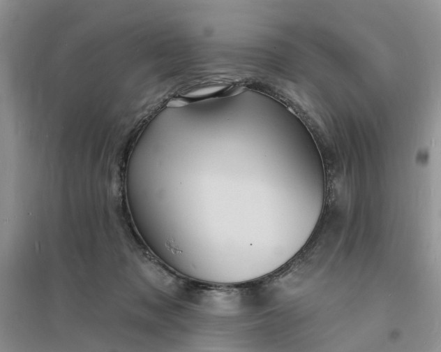X0000096390317200802071543